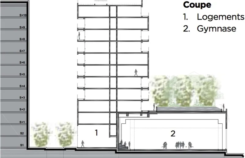 Coupe: 1. Logements 2. Gymnase Coupe: 1. Logements 2. Gymnase
