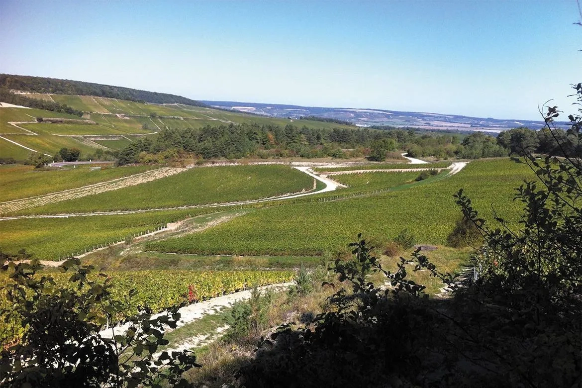 Champagne-Ardenne