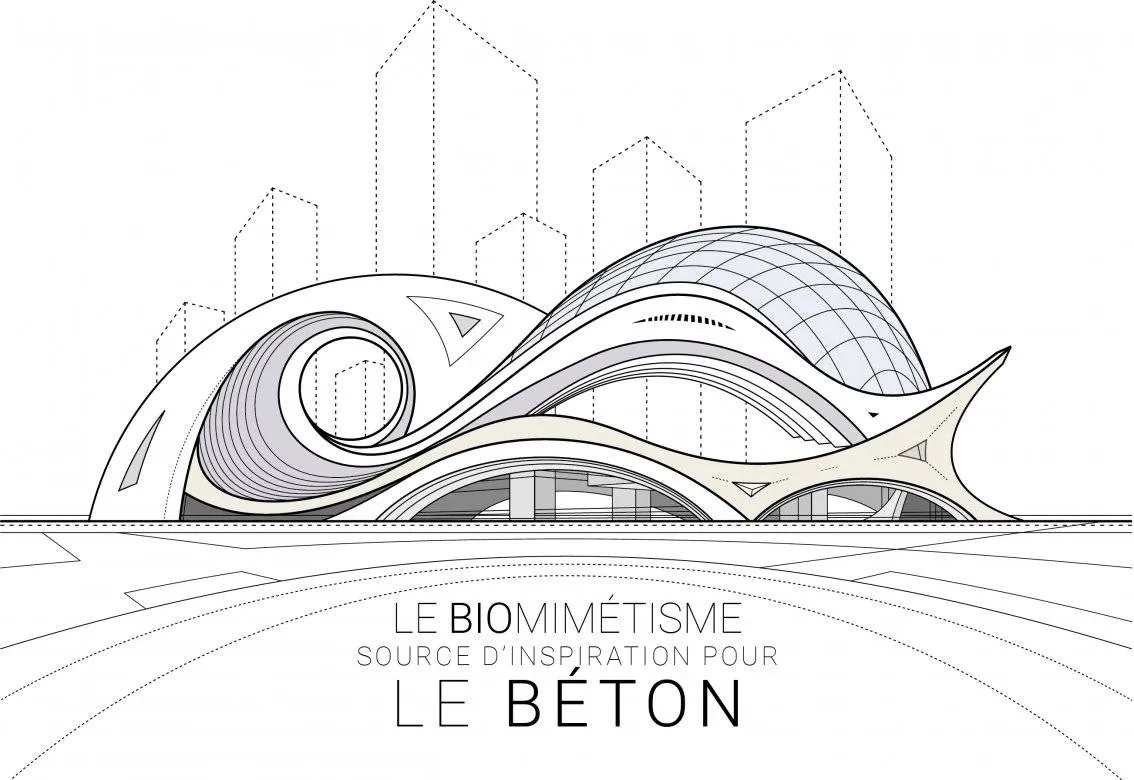 Biomimétisme et béton