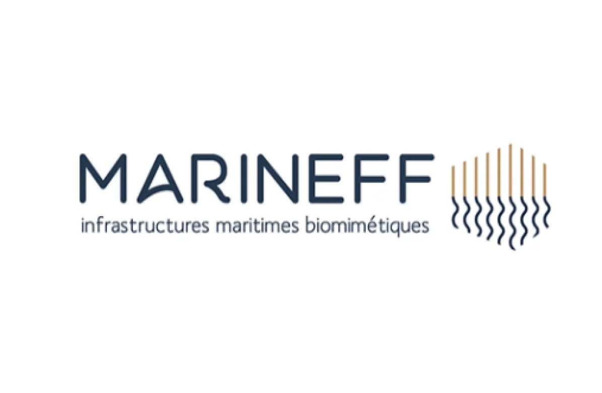Logo MARINEFF