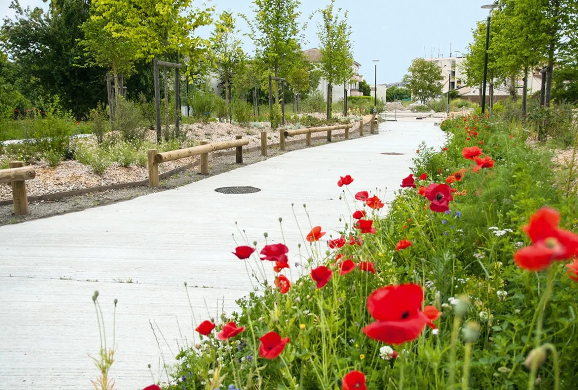 Des cheminements en béton balayé qui s'intègrent à l'environnement végétalisé.